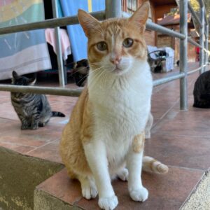 Filippo
